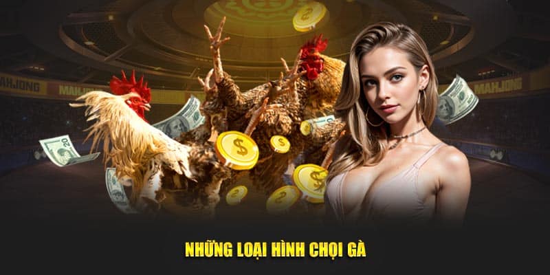 Những loại hình chọi gà tại đá gà 23WIN